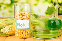 Wimborne Minster biofuel availability